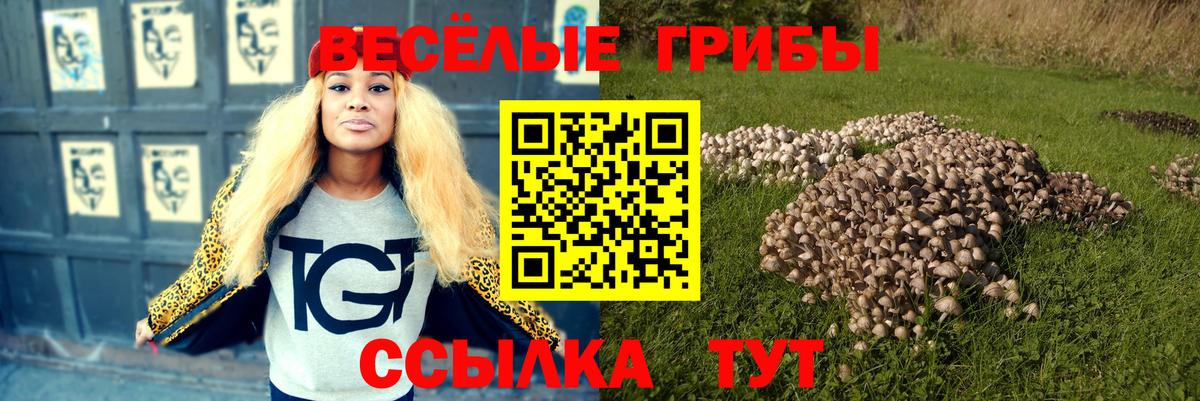 Галлюциногенные грибы мицелий  Вход с VPN  Гатчина  хочу наркоту  Галлюциногенные грибы MAGIC MUSHROOMS 